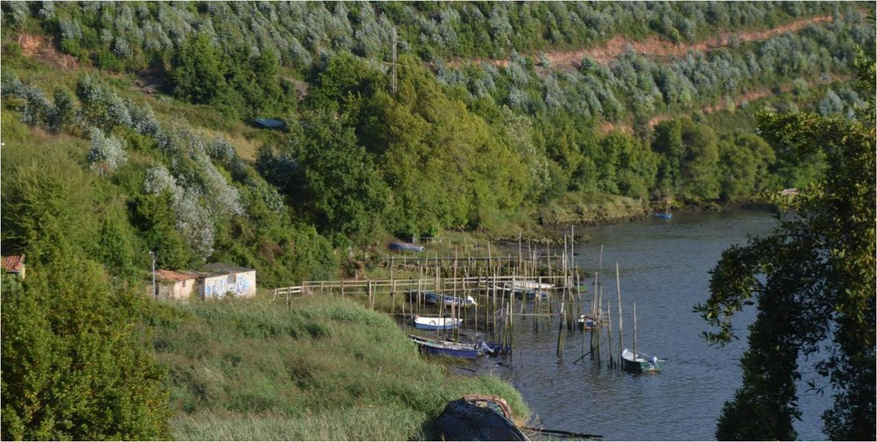La Quintana Del Castillo Soto Del Barco Exteriér fotografie